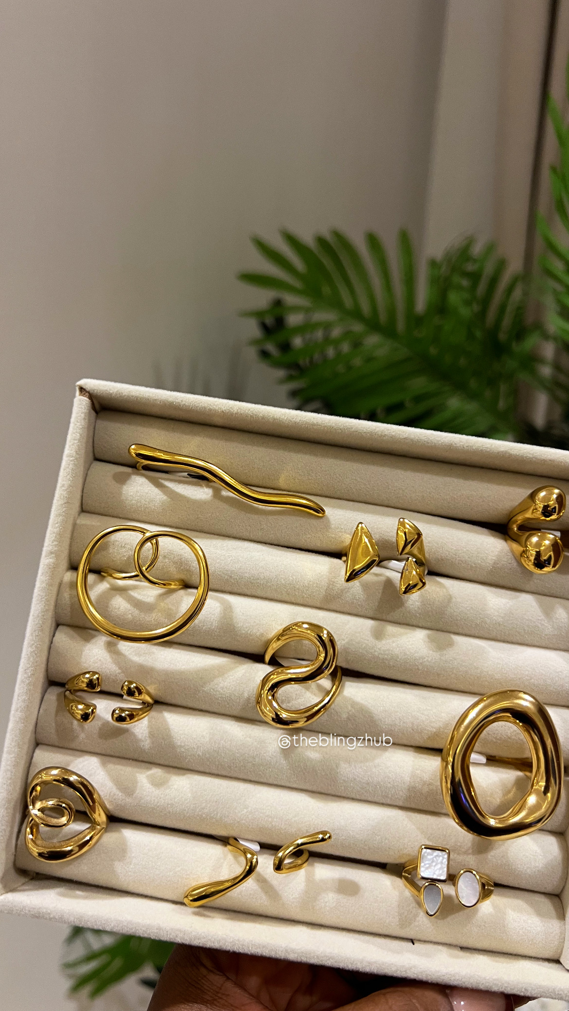Ring 01